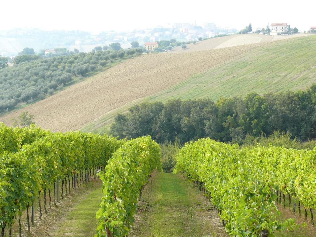 Agriturismo Al Rifugio Divino Belvedere Ostrense Extérieur photo